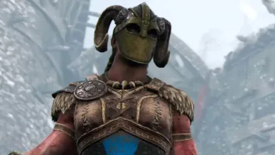 For Honor Valkyrie Class