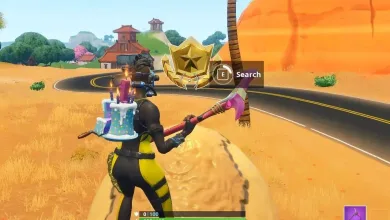 Fortnite Road Trip #4