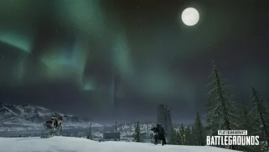 PUBG vikendi moonlight weather