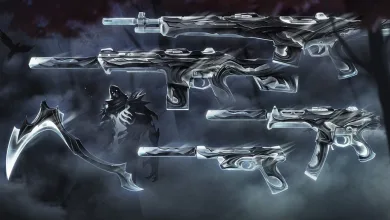 Soulstrife Valorant Bundle