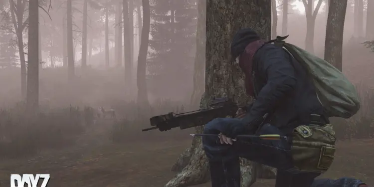 DayZ