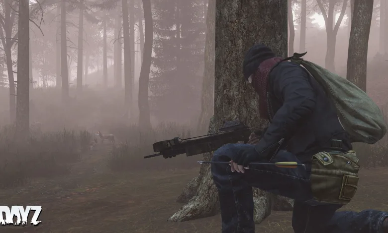 DayZ