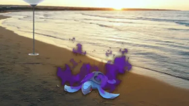 Pokemon Go Shadow Tirtouga