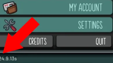 Among Us is done supporting 2024 builds
