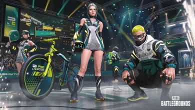 PUBG posts a new PNC 2026 Fantasy notice