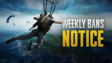 PUBG's weekly ban notice covers June 8 to June 14
