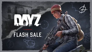 DayZ Flash Sale artwork showing an armed survivor holding a rifle beside the DayZ logo and Flash Sale text