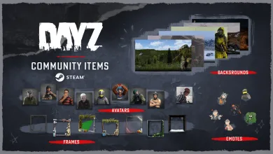 DayZ just gave Steam profiles a lot more personality