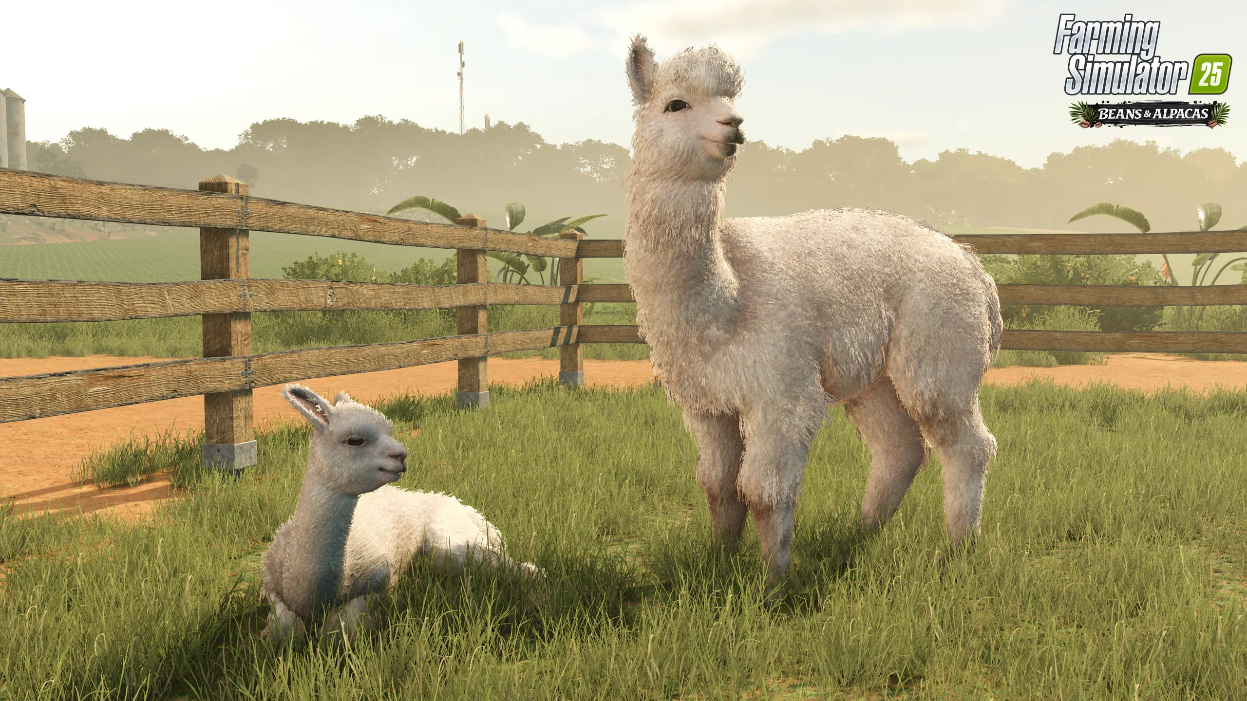 Two alpacas in a pasture in Farming Simulator 25