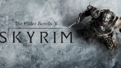 Armored Skyrim character lunging across a snowy background beside The Elder Scrolls V: Skyrim logo