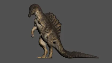 Rendered dinosaur shown in a side-facing standing pose from The Isle's DevBlog #71