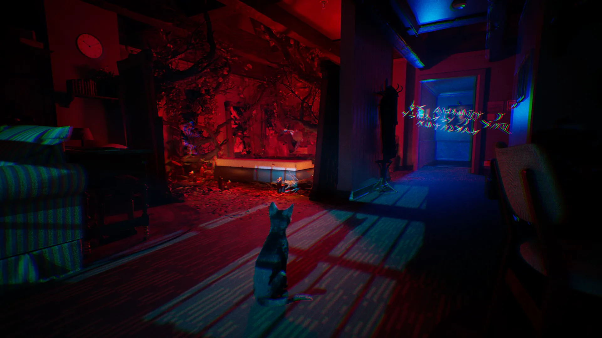 A black cat stands in a brightly lit room