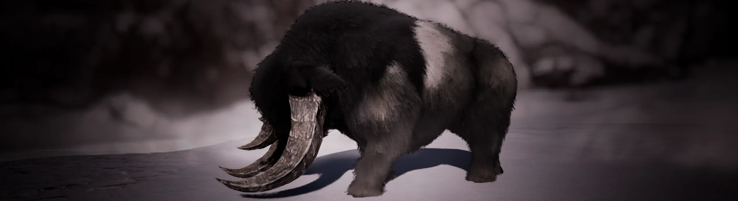 A dark Tusker with large tusks in the snow