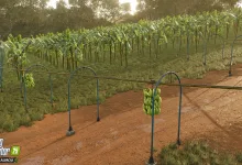 Banana plants growing along harvesting rails in Farming Simulator 25