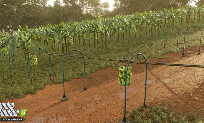 Banana plants growing along harvesting rails in Farming Simulator 25