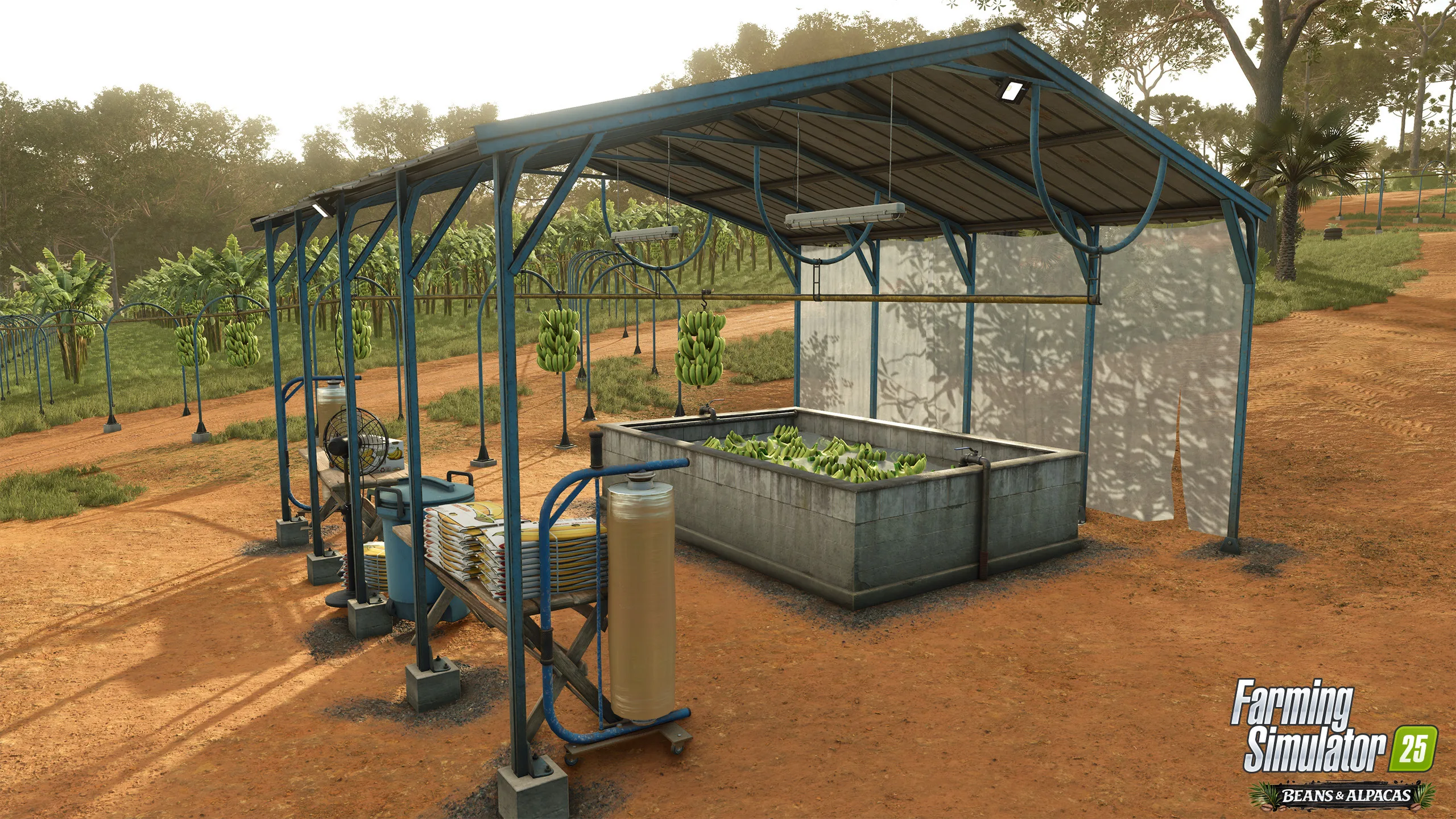 Banana washing station and plantation
