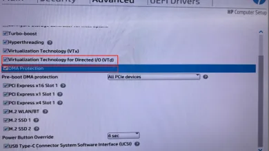 HP BIOS setup screen showing Virtualization Technology for Directed I/O (VT-d) and DMA Protection settings