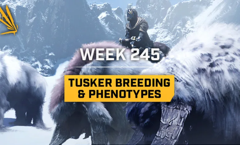 An armored prospector rides a shaggy Tusker through a snowy Icarus mountain landscape beneath text reading Week 245 Tusker Breeding & Phenotypes.