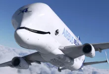 Airbus BelugaXL cargo aircraft flying above clouds in Microsoft Flight Simulator 2020.