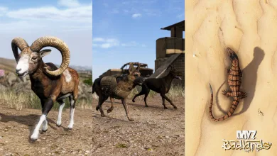 A DayZ Badlands image shows a mouflon, two dogs near military vehicles, and a desert monitor lizard on sand.