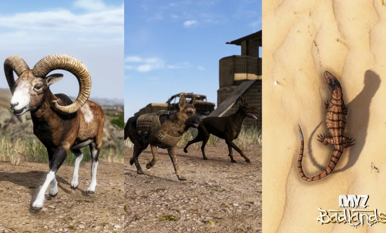 A DayZ Badlands image shows a mouflon, two dogs near military vehicles, and a desert monitor lizard on sand.