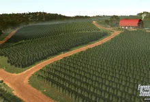 Rows of coffee plants cover a plantation in Farming Simulator 25.
