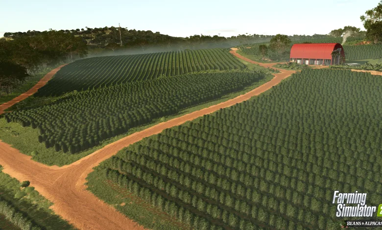 Rows of coffee plants cover a plantation in Farming Simulator 25.