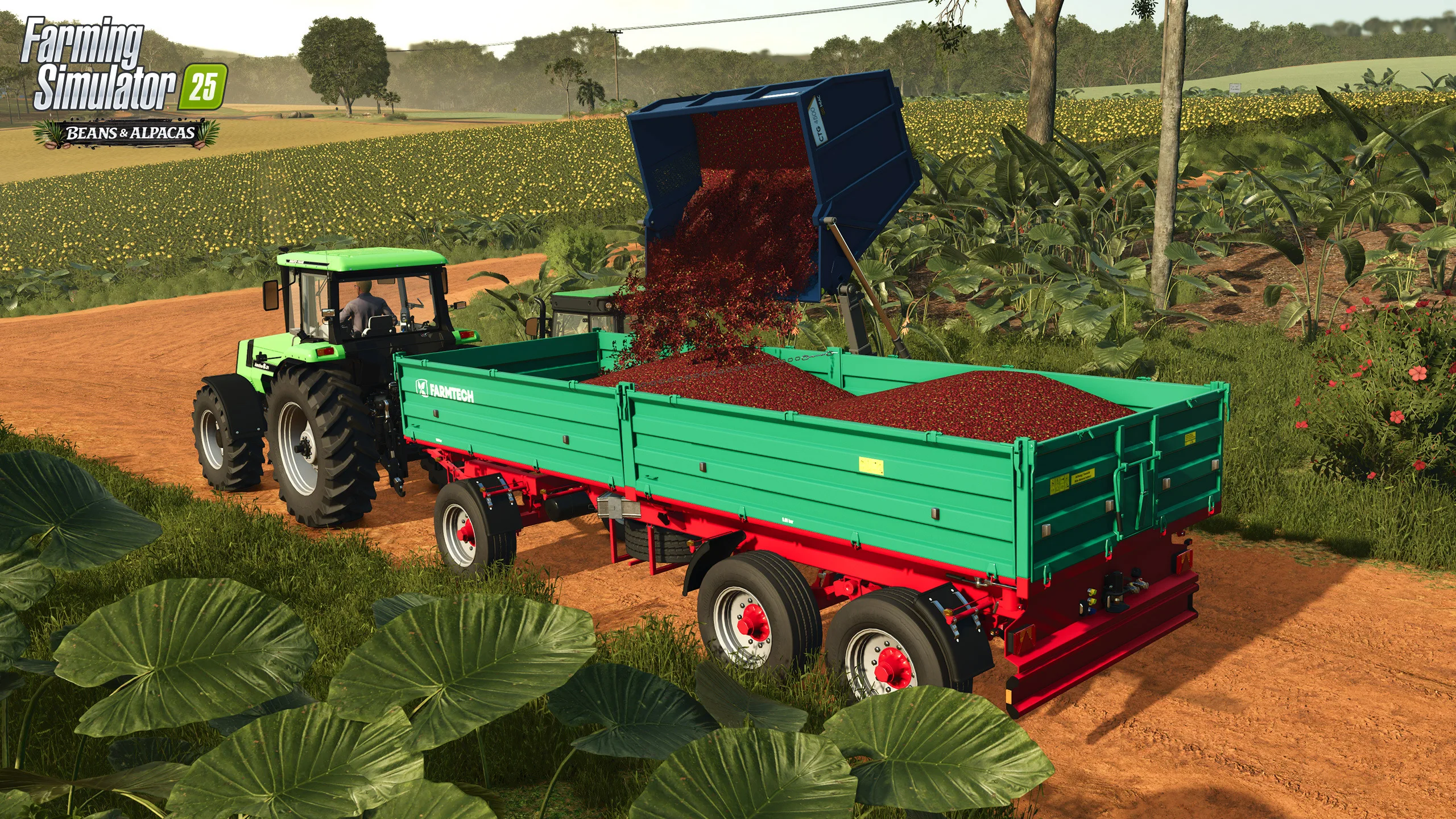Harvested coffee cherries being transferred from a trailer in Farming Simulator 25