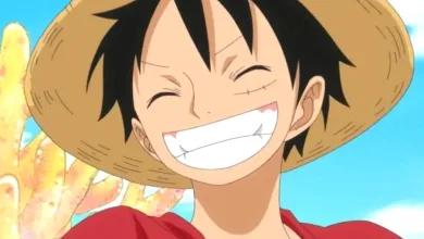 Monkey D. Luffy smiles beneath his straw hat in One Piece.