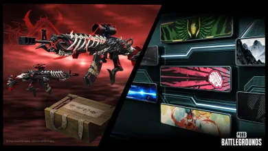 PUBG: Battlegrounds store artwork showing a skeleton-themed rifle beside a crate and colorful cosmetic item panels