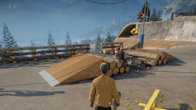 A skate. skater stands beside a small ramp and stacked logs at a mountain skate park.