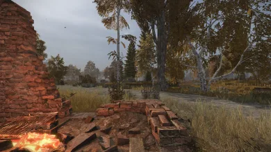 Autumn landscape in STALCRAFT: X with ruined brick structures, tall trees, and a glowing anomaly