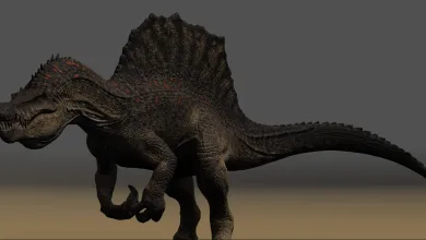 Baryonyx shown in a three-quarter pose with its raised sail and open jaws