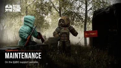 Two STALZONE characters stand beside a SUPPORT sign beneath the words “Maintenance — On the EXBO support website.”