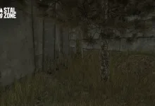 Overgrown grass and a pine tree stand beside a weathered concrete wall in a STALCRAFT: X teaser image.