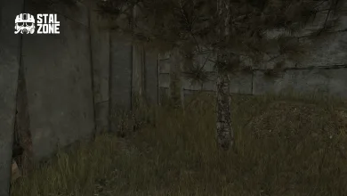 Overgrown grass and a pine tree stand beside a weathered concrete wall in a STALCRAFT: X teaser image.