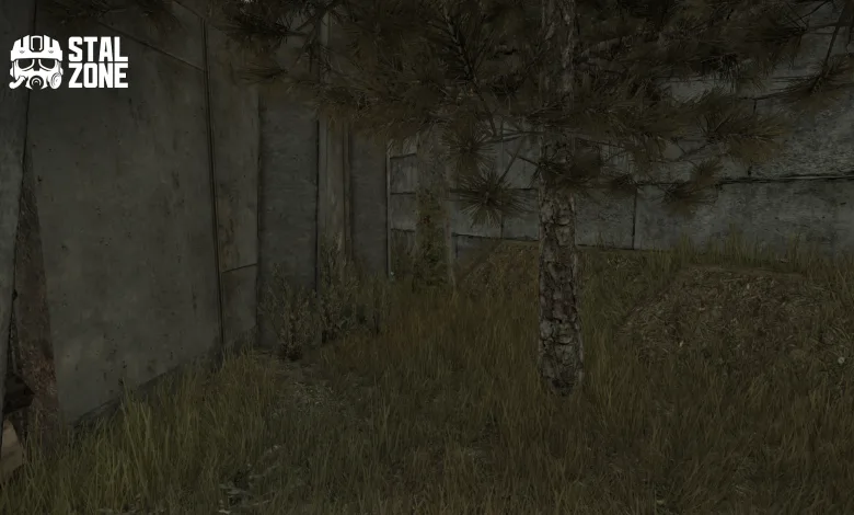 Overgrown grass and a pine tree stand beside a weathered concrete wall in a STALCRAFT: X teaser image.