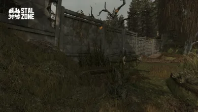 An overgrown path runs beside a concrete fence in a STALCRAFT: X teaser image for the Polesskoye stash rumor.