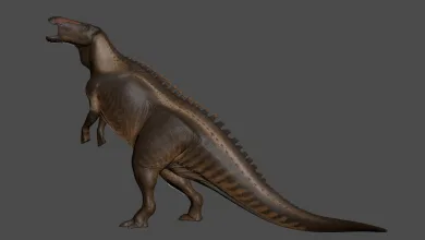 A brown dinosaur shown in profile against a gray background.