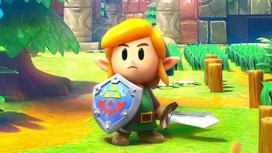 Link stands in a grassy area holding a sword and shield in The Legend of Zelda: Link’s Awakening.