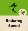 Enduring Speed