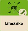 Lifestrike