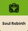 Soul Rebirth