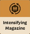 Intensifying Magazine